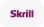 Skrill Payment